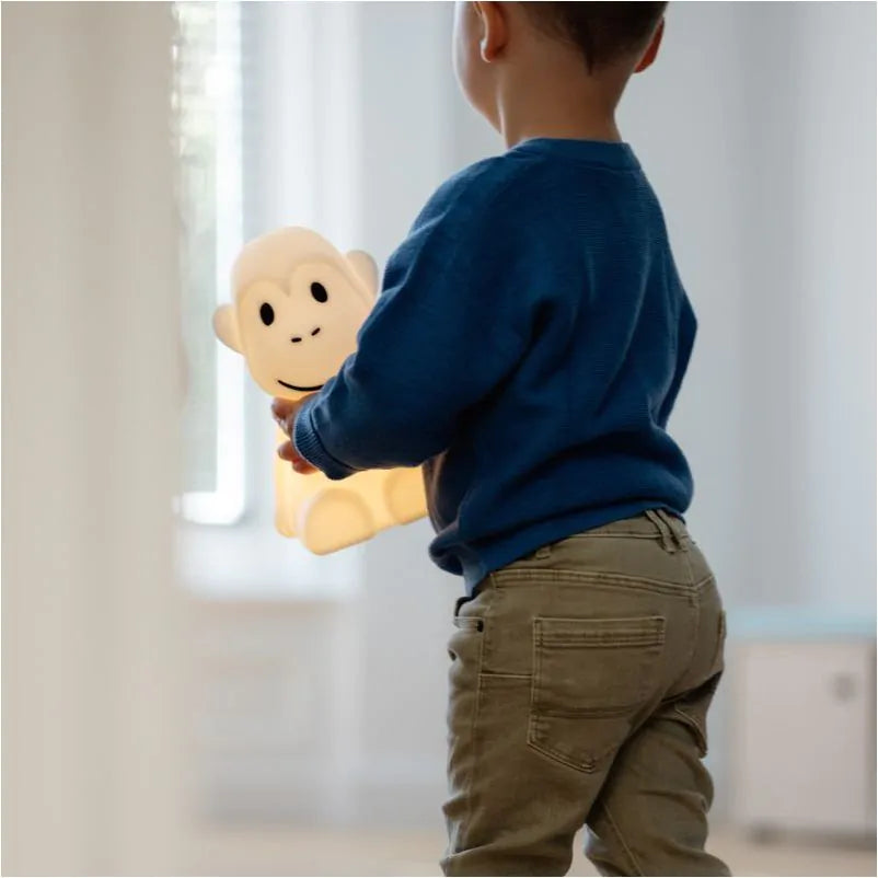 Mr Maria Monkey First Light (30cm)