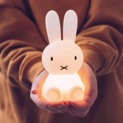 Miffy Mr Maria Bundle of Light (Mini-Light)