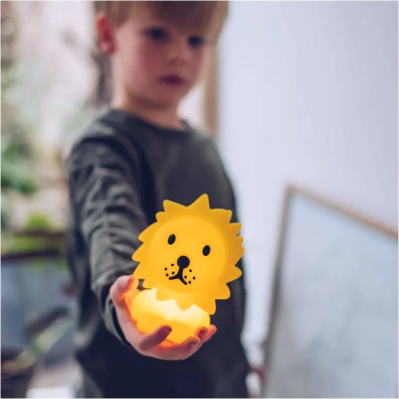 Mr Maria Lion Bundle of Light (Mini-Light)